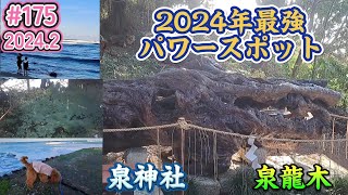 2024年最強！開運パワースポット！泉神社(茨城県日立市)2024.2