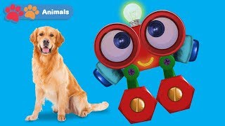 Learn About Dogs \u0026 Animals for Kids with Robi | Animals Names \u0026 Sounds | Wild Animals for Children