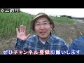 カニ釣り【夏休み・海で遊ぶ】穴にエサを落としてカニを釣る