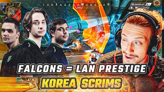 Falcons Look Prestige-Ready for LAN | Korea Scrims - The NiceWigg Watch Party