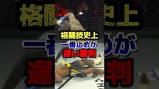 格闘技史上1番止めるのが遅い審判。#rizin #ブレイキングダウン #格闘技