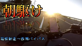 【Motovlog】箱根新道～西湘バイパスを朝駆けしてきたら最高すぎた【Harley８８３】