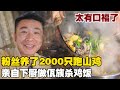 Yunnan Fan Raises Over 2000 Chickens in the Mountains: Let Me Choose and Cook Any Dish!