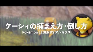 【Pokemon LEGENDS】ケーシィの捕まえ方＆倒し方