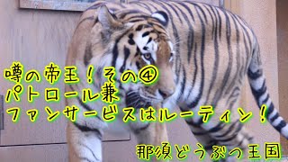 噂の帝王、令クン🐯その④