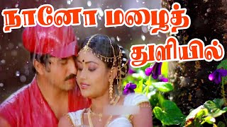 நானோ மழைத்துளியில் | Naano Mazai Thuliyel Kulithu Vitten | Super Hit Rain Song | Vijaya Shanthi | HD