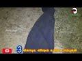 கொடிய விஷப் பாம்புகளின் எச்சரிக்கை சத்தம் இதுதான் 3 russell s viper release video snake_saga