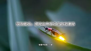 深海藍光：揭秘生物發光的古老奧秘----快看宇宙第172期