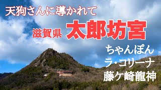 滋賀県　太郎坊宮と周辺ぶらり　ちゃんぽん　焼きたてカステラも