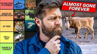 25 More Animals That Are About To Go Extinct