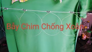 Chia Sẻ cách làm bẫy chim bìm bịp quốc cúm núm chống xoắn tại nhà ai cũng làm được