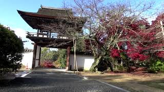 長岳寺（ちょうがくじ）の紅葉