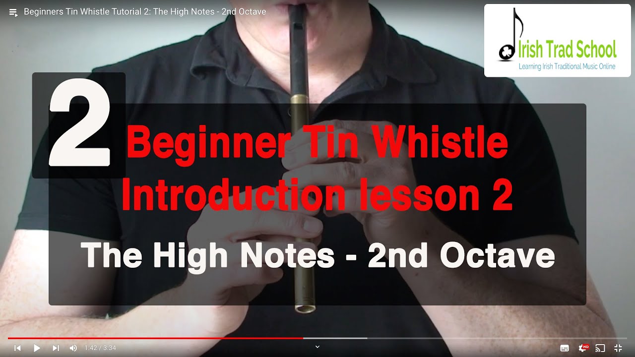 Beginners Tin Whistle Tutorial 2: The High Notes - 2nd Octave - YouTube