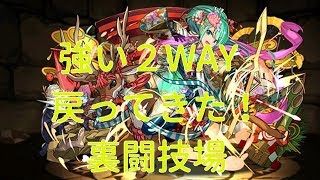 【実況パズドラ】正月アルテミス　裏闘技場