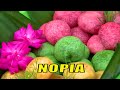 Membuat Kue NOPIA Khas Kebumen | JEJAK ANAK NEGERI (02/09/21)