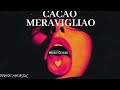 cacao meravigliao house remix by mauro catalini