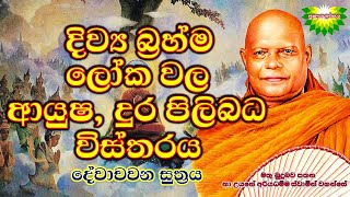 දිව්‍ය බ්‍රහ්ම ලෝක වල ආයුෂ, දුර පිලිබධ විස්තරය