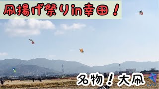 愛知県額田郡幸田町　幸田凧揚げ祭りを見物した孤高の旅人！