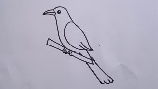How to draw a Cuckoo/easy drawing step by step