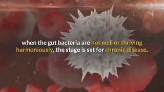 Parkinson's Disease Linked to Gut Bacteria