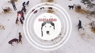 Full Coverage of the Iditarod 2017 Sled Dog Race