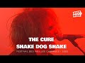 The Cure - Shake Dog Shake - Live (Festival des Vieilles Charrues 2002)