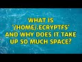 What is `/home/.ecryptfs` and why does it take up so much space?