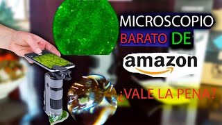 MICROSCOPIO DE BOLSILLO COMPRADO EN AMAZON ¿VALE LA PENA?