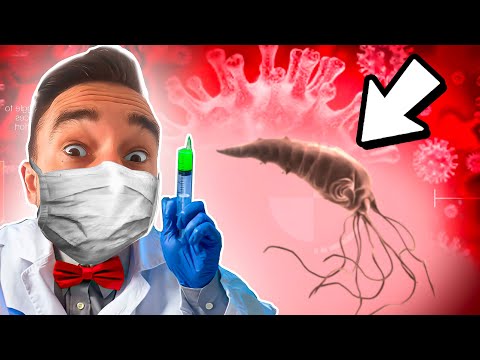 Creating A Super Bacteria In Plague Inc