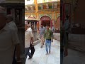 Shree Dwarkadhish Mandir || Mathura Uttar Pradesh #shorts