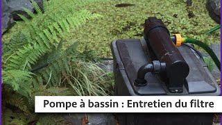 Atelier du jardin : Entretien du filtre d'une pompe à bassin