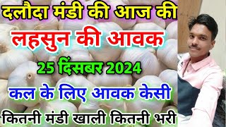 दलौदा मंडी आज की लहसुन की आवक 25 दिसंबर 2024 |garlic arrival today daloda mandi