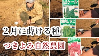 【自然農】キャベツ　ケール　レタス種まき【つきよみ自然農園】2022年2月17日厚木市愛名畑にて【natural farming】