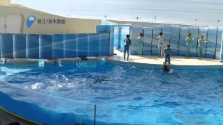 20121012 新江ノ島水族館・「きずな／ｋｉｚｕｎａ」