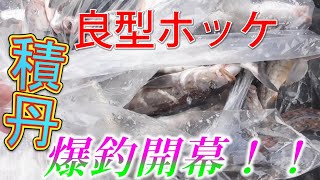 【ホッケ釣り】１１月積丹良型ホッケ爆釣！！ホッケ開幕の巻！！