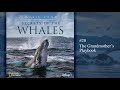 Music from Secrets of the Whales - The Grandmother’s Playbook (Soundtrack by Raphaelle Thibaut)