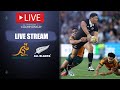 Wallabies vs All Blacks Live Stream