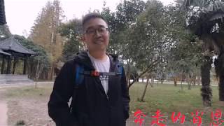 自驾中国行 | 在大丰保护区看曾灭绝的神兽，它是姜子牙的坐骑，吃货大哥竟想尝尝味道