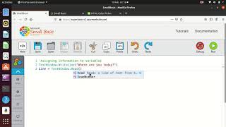 Small basic lesson 3 - variables and Mad Libs