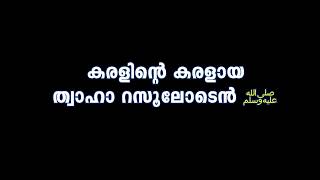 കരളിന്റെ കരളായ ത്വാഹാ റസൂലോടെന്‍  കഥനങ്ങള്‍ .....