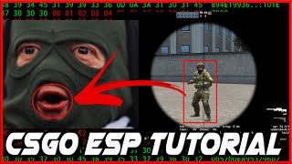 D3D9 CSGO ESP Tutorial 1 - EndScene Hook Tutorial