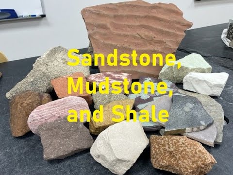 Is mudstone a sedimentary rock?