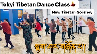 Latest Tibetan Gorshey ༼སྟག་ཤར་གཞོན་པ།༽Tokyi Tibetan Dance Class #tibetandance   #tutorial