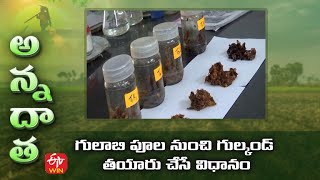 గులాబి పూల నుంచి గుల్కండ్ తయారు చేసే విధానం | Gulkhand Preparation With Rose Flower Petals | ETV