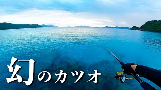 雨天の堤防でジグを投げまくる日。幻のカツオが連発する【ライトショアジギング】