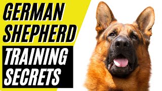 7 German Shepherd Training Secrets | GSD Training