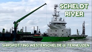 Shipspotting Westerschelde @ Terneuzen - \