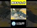 【ティアキン】隊長ゴーレムはすごいのか？？www shorts 【ゼルダの伝説 ティアーズ オブ ザ キングダム】