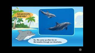 L2 048 Meet the Animals 48   Bottlenose Dolphin