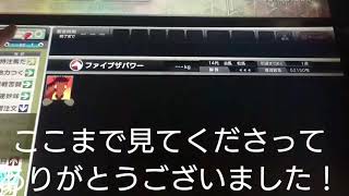 ファイブザパワー 引退レース 【スターホース3】